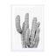 Grey Cactus Wall Art - Drawdeck