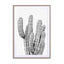 Grey Cactus Wall Art - Drawdeck