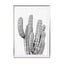 Grey Cactus Wall Art - Drawdeck