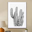 Grey Cactus - Drawdeck