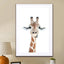 Happy Giraffe - Drawdeck