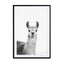 Happy Lama Wall Art - Drawdeck