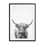 Highland Bull Ii Wall Art - Drawdeck