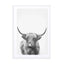 Highland Bull Ii Wall Art - Drawdeck