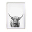 Highland Bull Ii Wall Art - Drawdeck