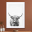Highland Bull Ii - Drawdeck