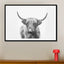 Highland Bull