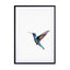 Humming Bird Wall Art - Drawdeck