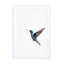 Humming Bird Wall Art - Drawdeck