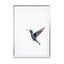 Humming Bird Wall Art - Drawdeck