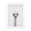 Ostrich Wall Art - Drawdeck