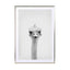 Ostrich Wall Art - Drawdeck