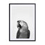 Parrot-sisiandseb Wall Art - Drawdeck