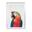 Parrot Wall Art - Drawdeck