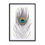 Peacock Feather Wall Art - Drawdeck