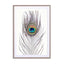 Peacock Feather Wall Art - Drawdeck