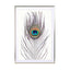 Peacock Feather Wall Art - Drawdeck