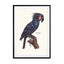 Galaxy Bird Vintage Wall Art - Drawdeck