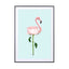 Flamingo Flower - Drawdeck