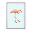 Fancy Flamingo - Drawdeck