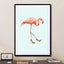Fancy Flamingo - Drawdeck