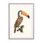Boho Toucan Wall Art - Drawdeck
