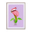 Carnivorous Plant Wall Art - Drawdeck