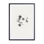 Petri Dish Wall Art - Drawdeck