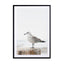Calm Bird By The Sea Wall Art - Drawdeck