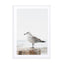 Calm Bird By The Sea Wall Art - Drawdeck