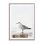 Calm Bird By The Sea Wall Art - Drawdeck