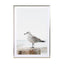 Calm Bird By The Sea Wall Art - Drawdeck