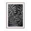 Green Tropical Fern B_w Wall Art - Drawdeck
