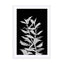 Night plant A0 Wall Art - Drawdeck