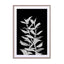 Night plant A0 Wall Art - Drawdeck