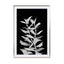 Night plant A0 Wall Art - Drawdeck