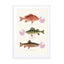 Bubblegum Fish Wall Art - Drawdeck