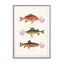 Bubblegum Fish Wall Art - Drawdeck