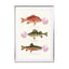 Bubblegum Fish Wall Art - Drawdeck