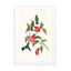 Humming birds Wall Art - Drawdeck