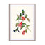 Humming birds Wall Art - Drawdeck