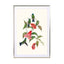 Humming birds Wall Art - Drawdeck