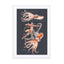 Octopus nymph Wall Art - Drawdeck