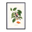 Sushi plant Wall Art - Drawdeck
