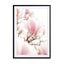 Blossoming Magnolia Pink Flowers In Spring Wall Art - Drawdeck