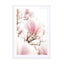 Blossoming Magnolia Pink Flowers In Spring Wall Art - Drawdeck