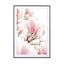 Blossoming Magnolia Pink Flowers In Spring - Drawdeck