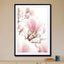 Blossoming Magnolia Pink Flowers In Spring - Drawdeck
