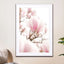 Blossoming Magnolia Pink Flowers In Spring - Drawdeck