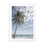 Palm treeat the beach in Indonesia - Drawdeck